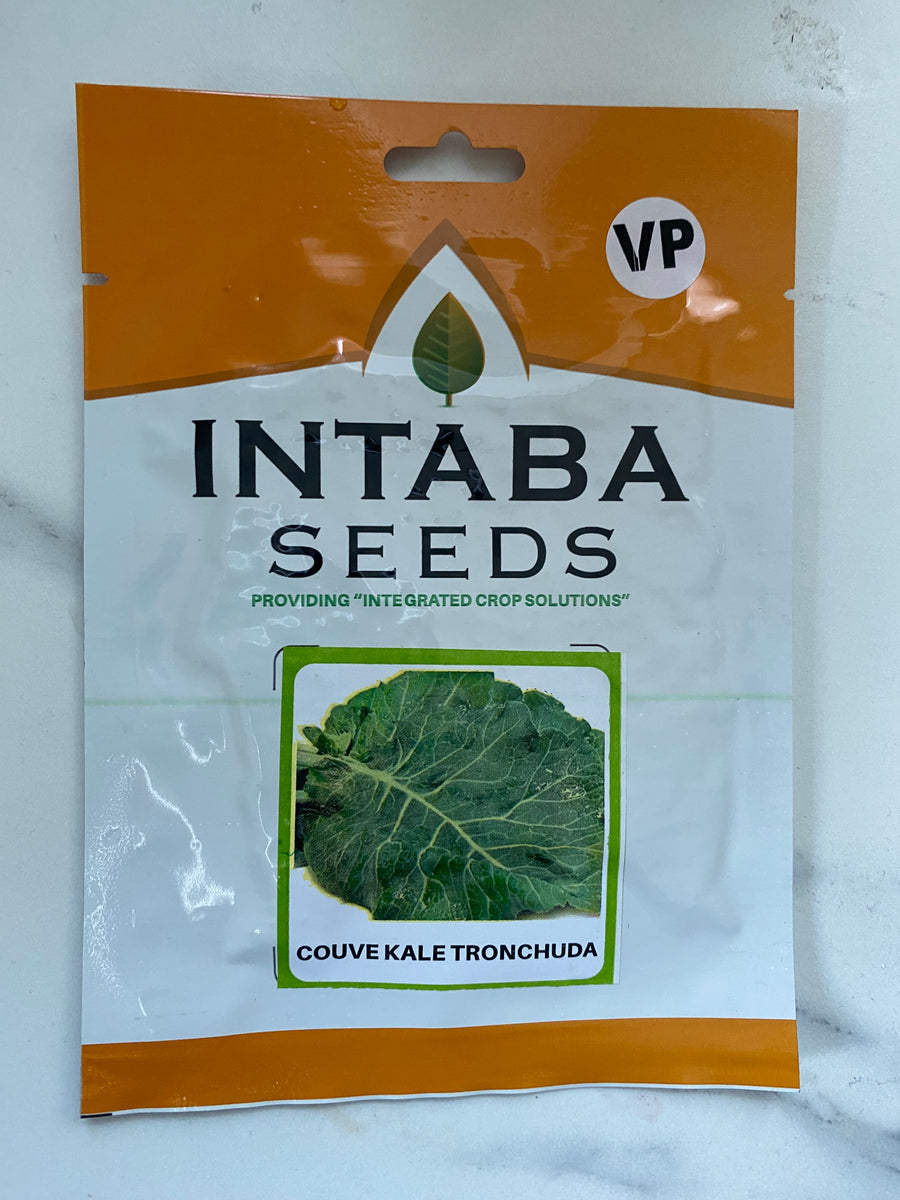 Intaba seeds Couve – PaChihera Store